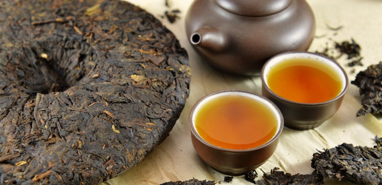Puerh Teas